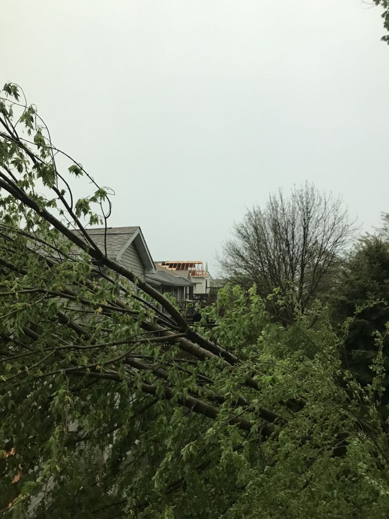 Timber Ridge Road damage